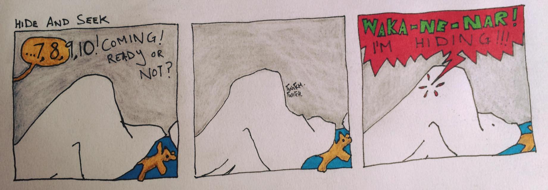 Hide and seek