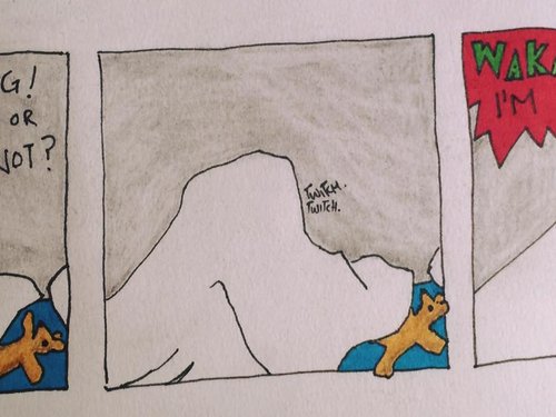 Hide and seek
